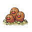 Dugtrio