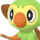 Grookey